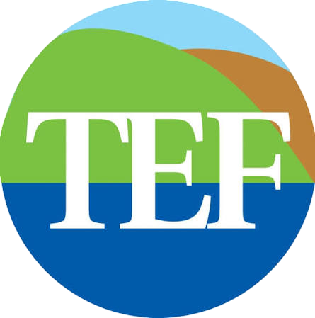 Tourism Enhancement Fund